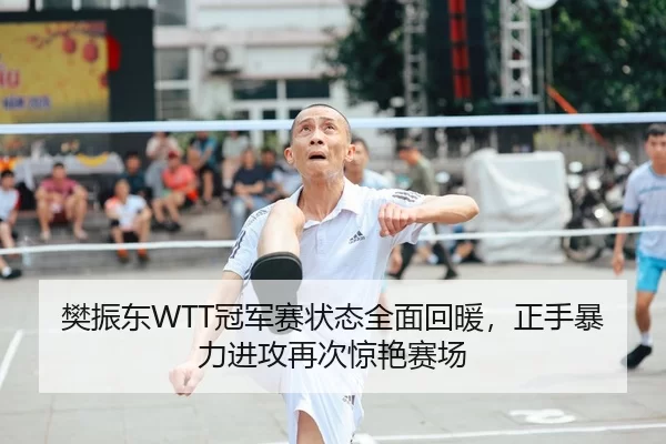 樊振东WTT冠军赛状态全面回暖，正手暴力进攻再次惊艳赛场